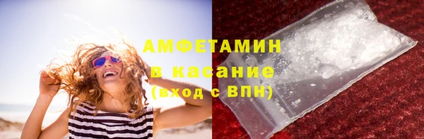 индика Балабаново