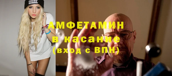 индика Балабаново