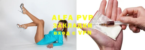 индика Балабаново