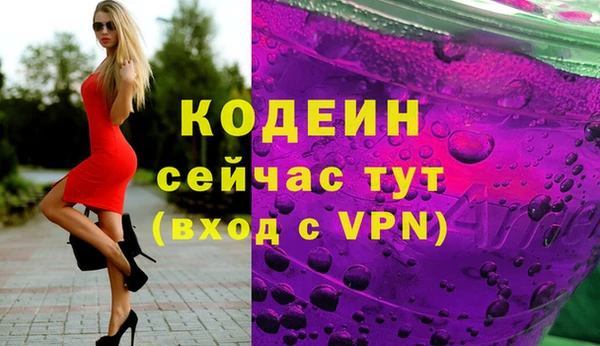 индика Балабаново