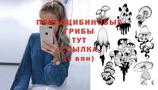 индика Балабаново