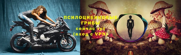 индика Балабаново