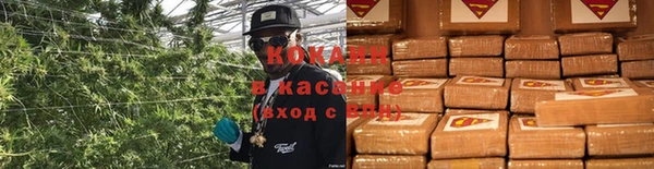 индика Балабаново