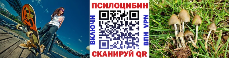 где купить наркотик Кукмор Галлюциногенные грибы Cubensis